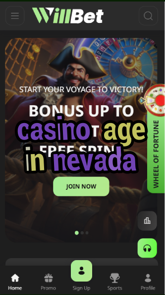 casino age in nevada-asdasdzhjkds.com
